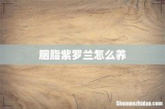 胭脂紫罗兰怎么养