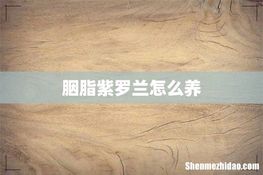 胭脂紫罗兰怎么养