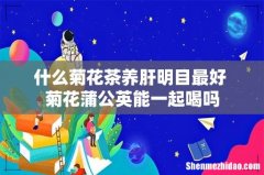 什么菊花茶养肝明目最好 菊花蒲公英能一起喝吗