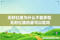 无籽红提为什么不能多吃 无籽红提的皮可以吃吗
