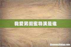我爱男闺蜜导演是谁