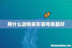 用什么动物来形容母亲最好
