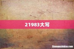 21983大写