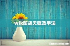 wlk防战天赋及手法