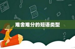 难舍难分的短语类型