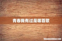 青春我有过是哪首歌