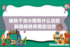 杨桃干泡水喝有什么功效 新鲜杨桃有哪些功效
