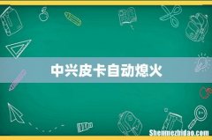 中兴皮卡自动熄火