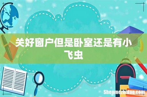 关好窗户但是卧室还是有小飞虫