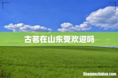 古茗在山东受欢迎吗
