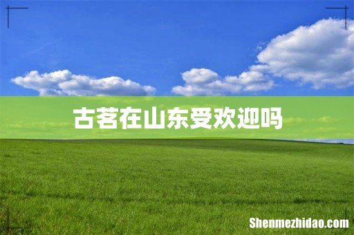 古茗在山东受欢迎吗