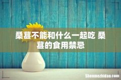 桑葚不能和什么一起吃 桑葚的食用禁忌