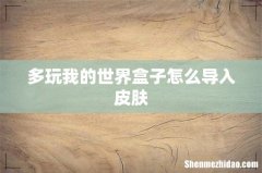 多玩我的世界盒子怎么导入皮肤