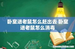 卧室进老鼠怎么赶出去 卧室进老鼠怎么消毒