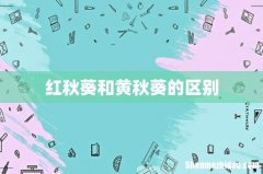 红秋葵和黄秋葵的区别