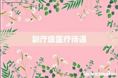 副厅级医疗待遇