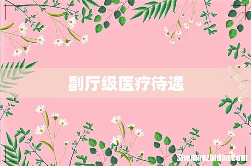 副厅级医疗待遇