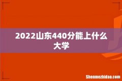 2022山东440分能上什么大学