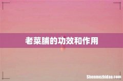 老菜脯的功效和作用