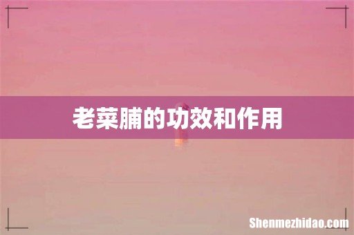 老菜脯的功效和作用
