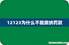 12123为什么不能缴纳罚款