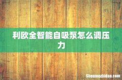 利欧全智能自吸泵怎么调压力