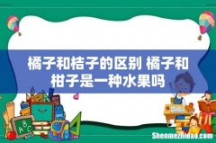 橘子和桔子的区别 橘子和柑子是一种水果吗