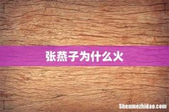 张燕子为什么火