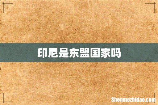印尼是东盟国家吗
