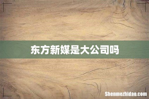 东方新媒是大公司吗