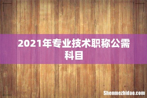 2021年专业技术职称公需科目