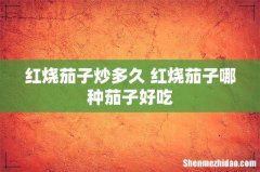 红烧茄子炒多久 红烧茄子哪种茄子好吃