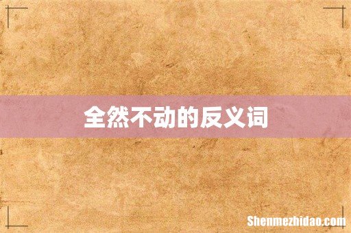 全然不动的反义词