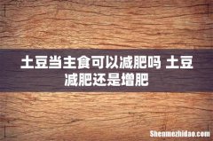 土豆当主食可以减肥吗 土豆减肥还是增肥