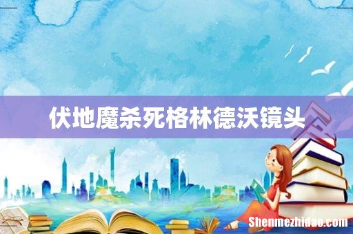 伏地魔杀死格林德沃镜头