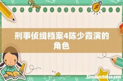 刑事侦缉档案4陈少霞演的角色