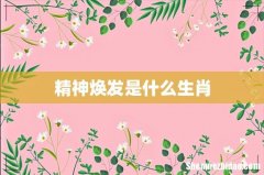 精神焕发是什么生肖
