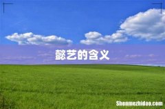 懿艺的含义