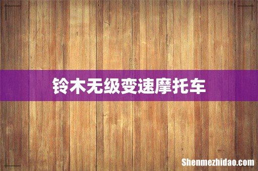 铃木无级变速摩托车