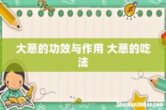 大葱的功效与作用 大葱的吃法