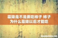 霜降是不是要吃柿子 柿子为什么霜降以后才能吃