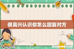 很高兴认识你怎么回复对方