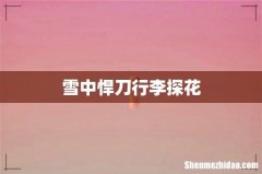 雪中悍刀行李探花