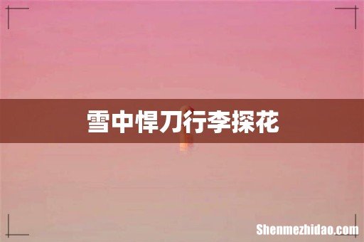 雪中悍刀行李探花