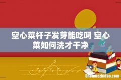 空心菜杆子发芽能吃吗 空心菜如何洗才干净