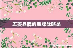 五菱品牌的品牌战略是