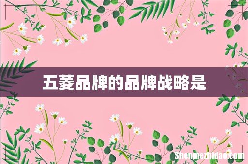 五菱品牌的品牌战略是
