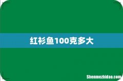 红衫鱼100克多大