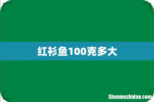 红衫鱼100克多大