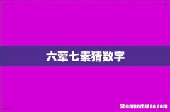 六荤七素猜数字